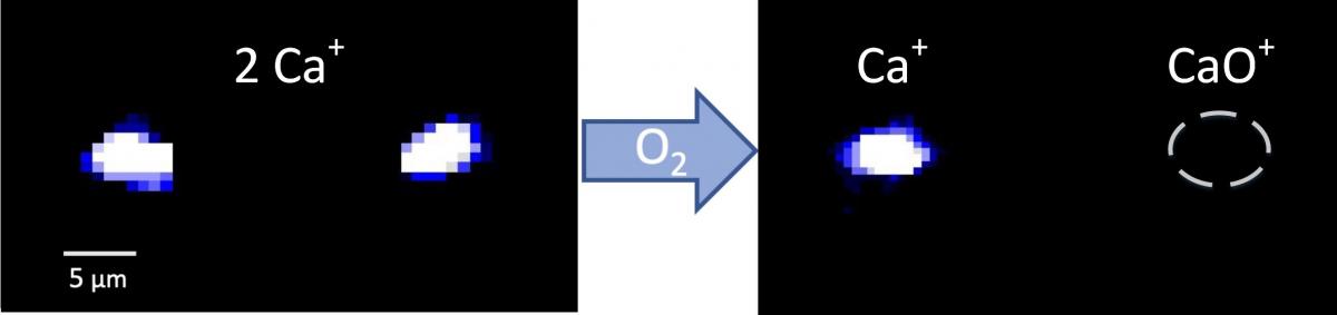 Starting with two Ca+ ions, we react one with oxygen to form CaO+