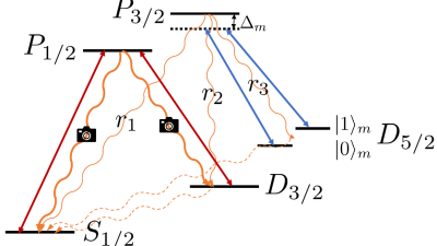 Quantum error correction with metastable states of trapped ions using erasure conversion